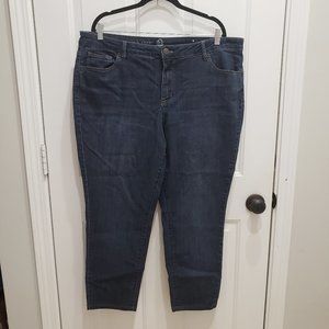 Dress Barn Signature Fit Skinny Jeans